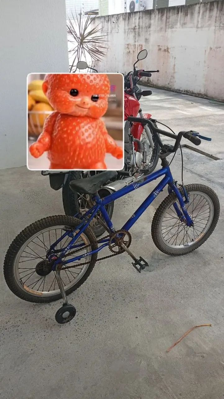 Bicicleta 