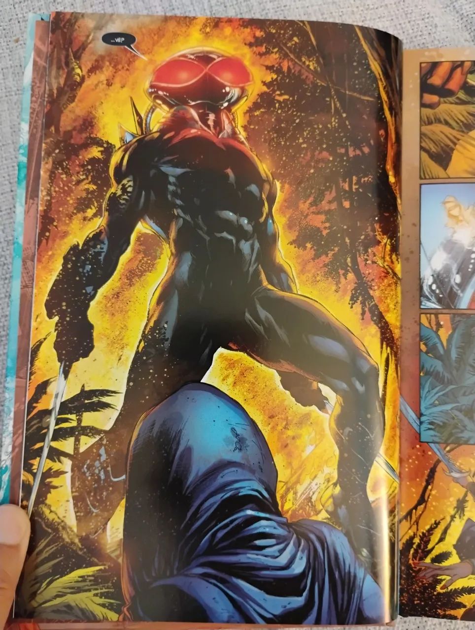 AQUAMAN: OS OUTROS (11/2016) PANINI  - Foto 4