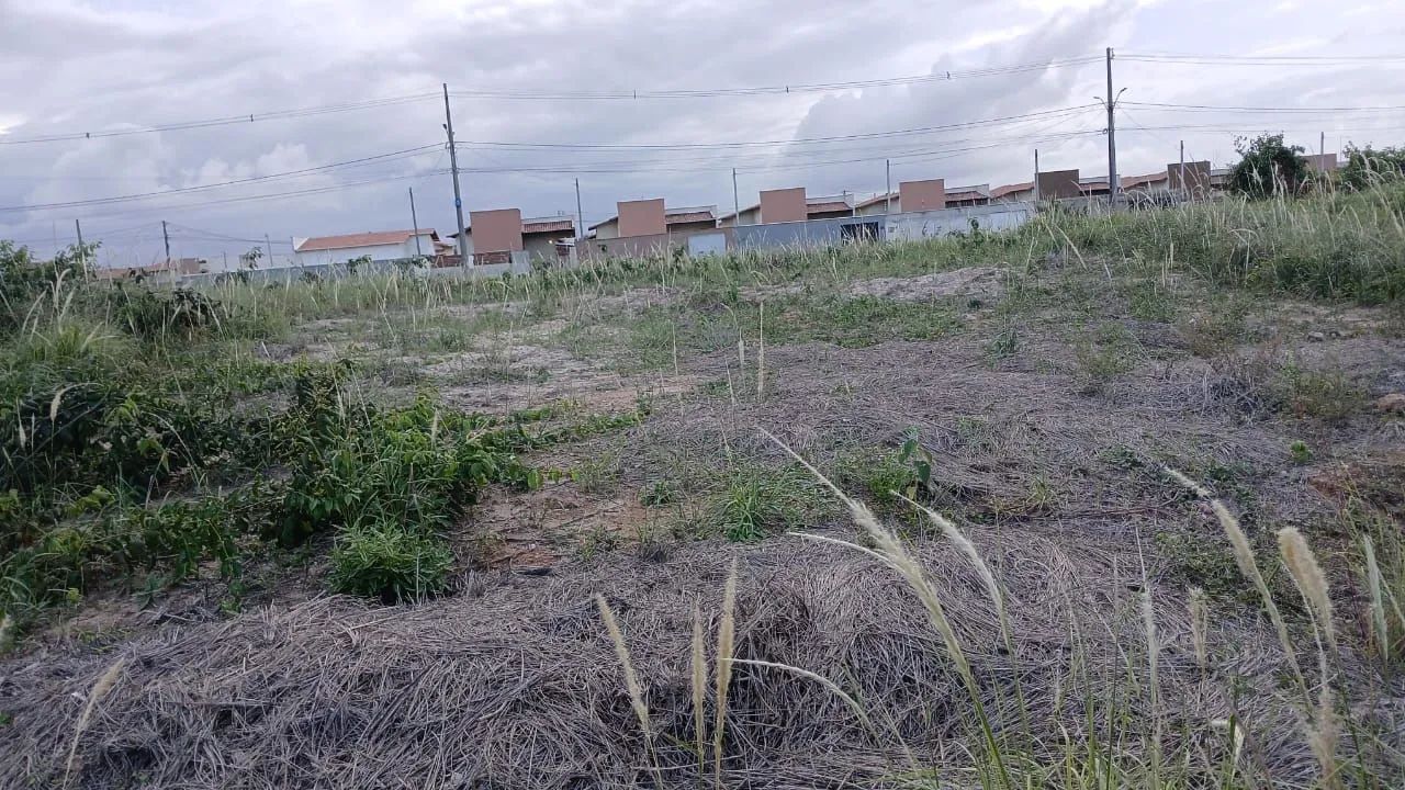 Foto - São Gonçalo do Amarante - 