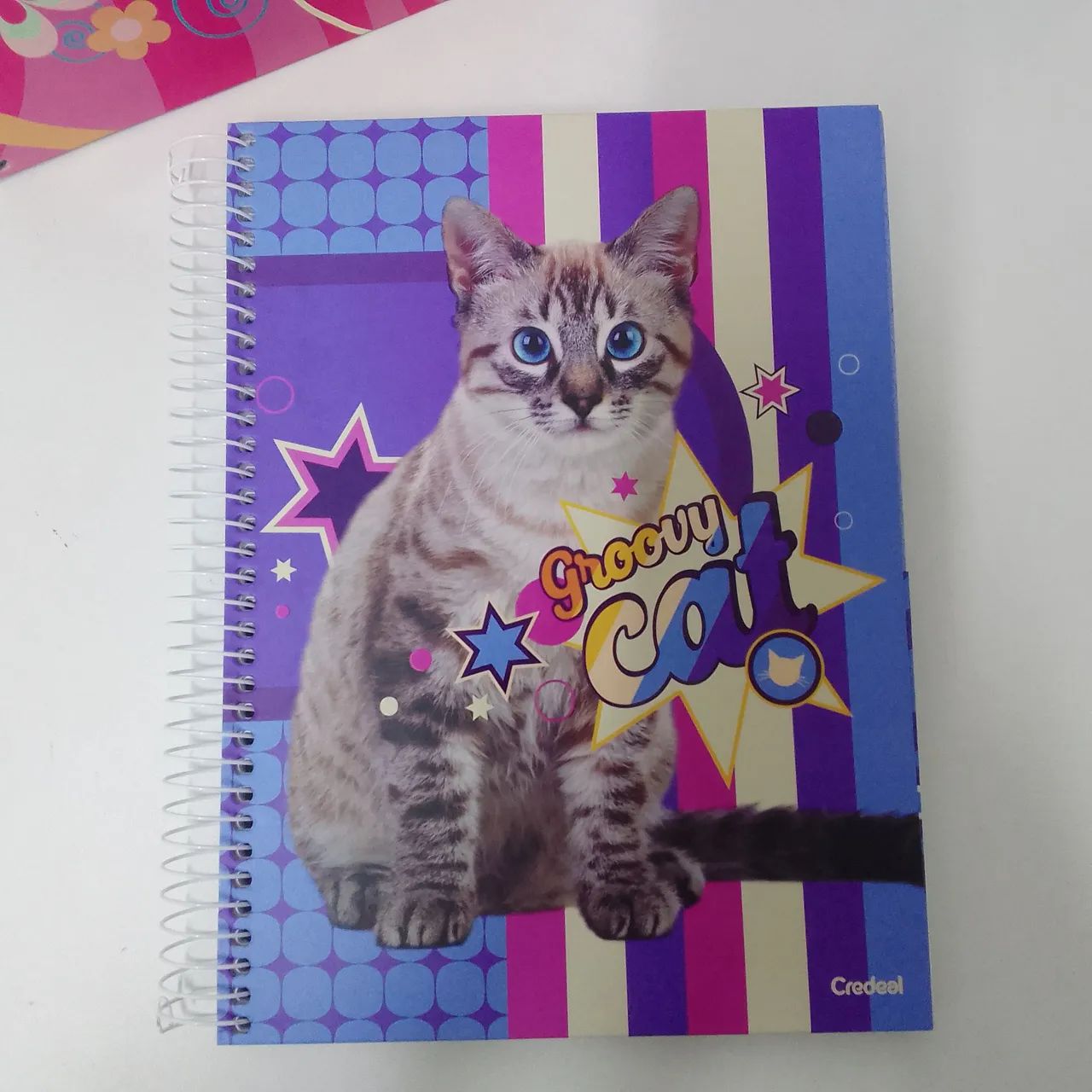 Kit 5 Caderno de 10 matérias  - Foto 2