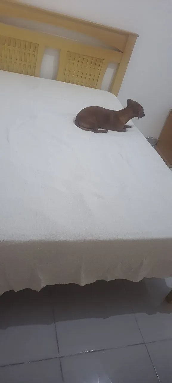 Cama sem colchão 
