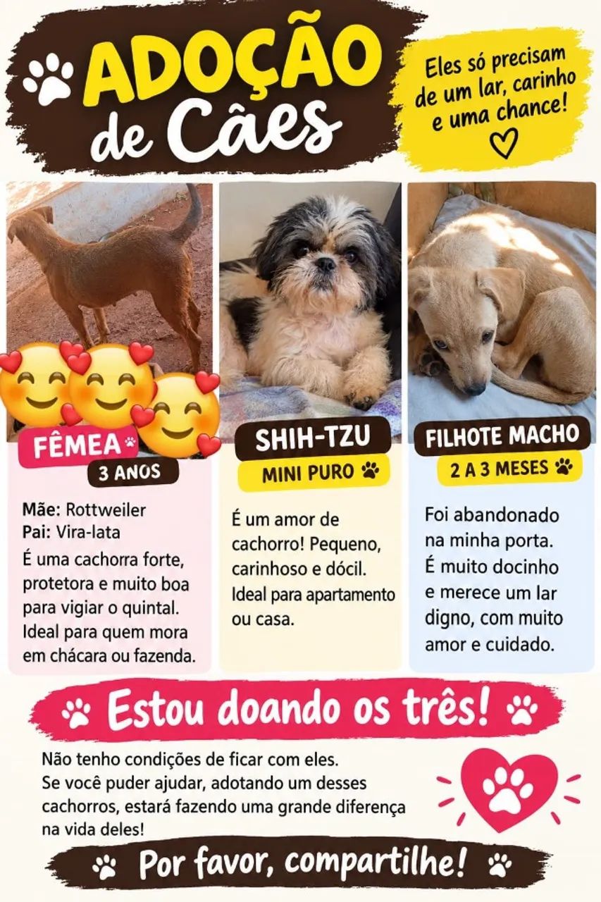 Cachorros