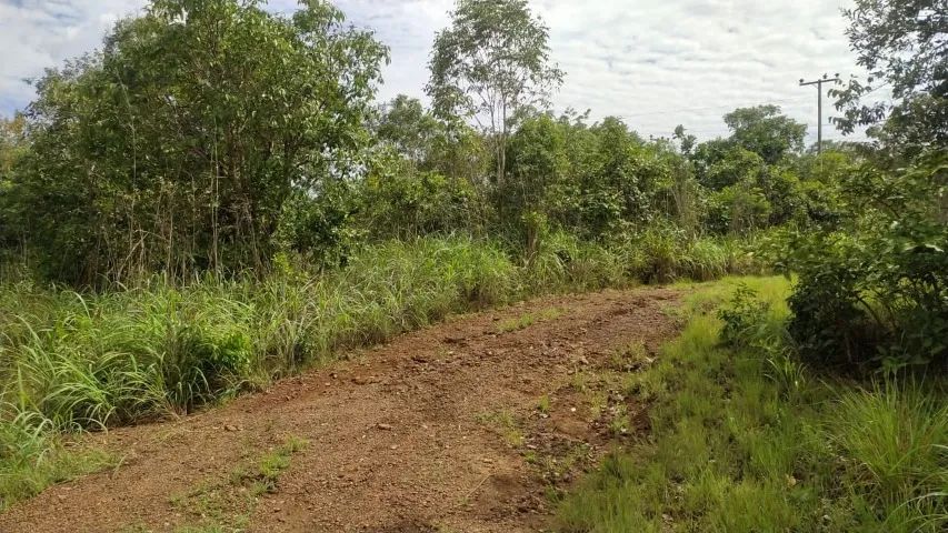 Vendem-se 2 terrenos de 613m2  a 2Km da rotatória da JK com BR 010 - Foto 3
