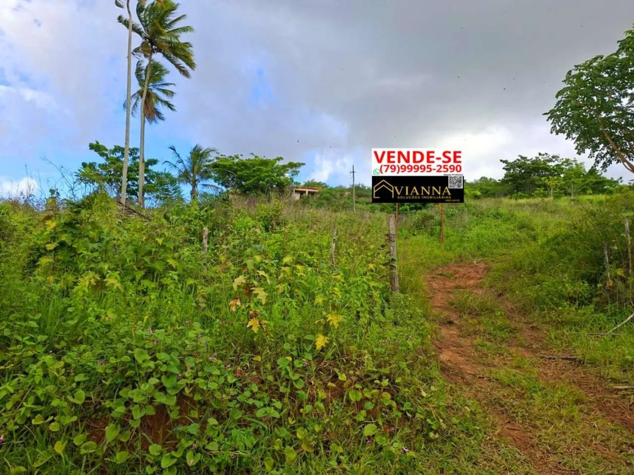 Fazenda Área de Terras na Cabrita  São Cristóvão/SE - Foto 4