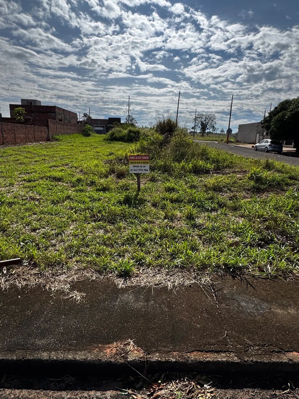 Terreno em Santa Cruz de Monte Castelo  - Foto 4