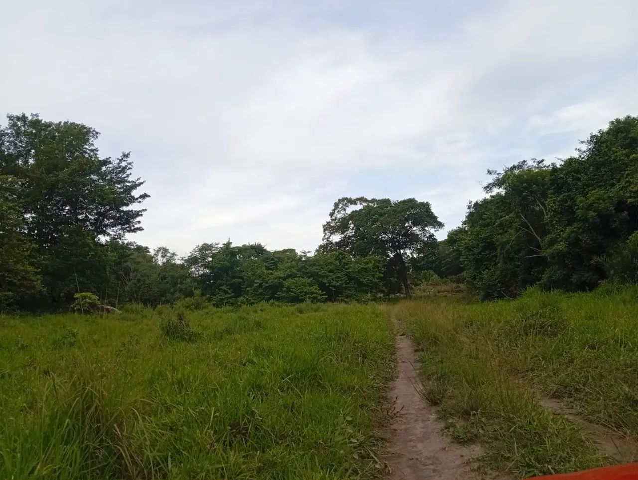 Fazenda em Faina-go - Foto 5