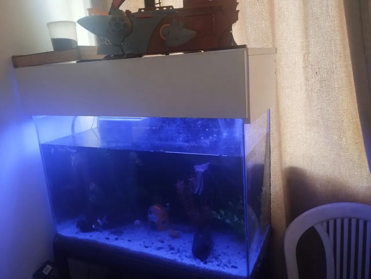 Aquário funcionando perfeitamente  - Foto 4