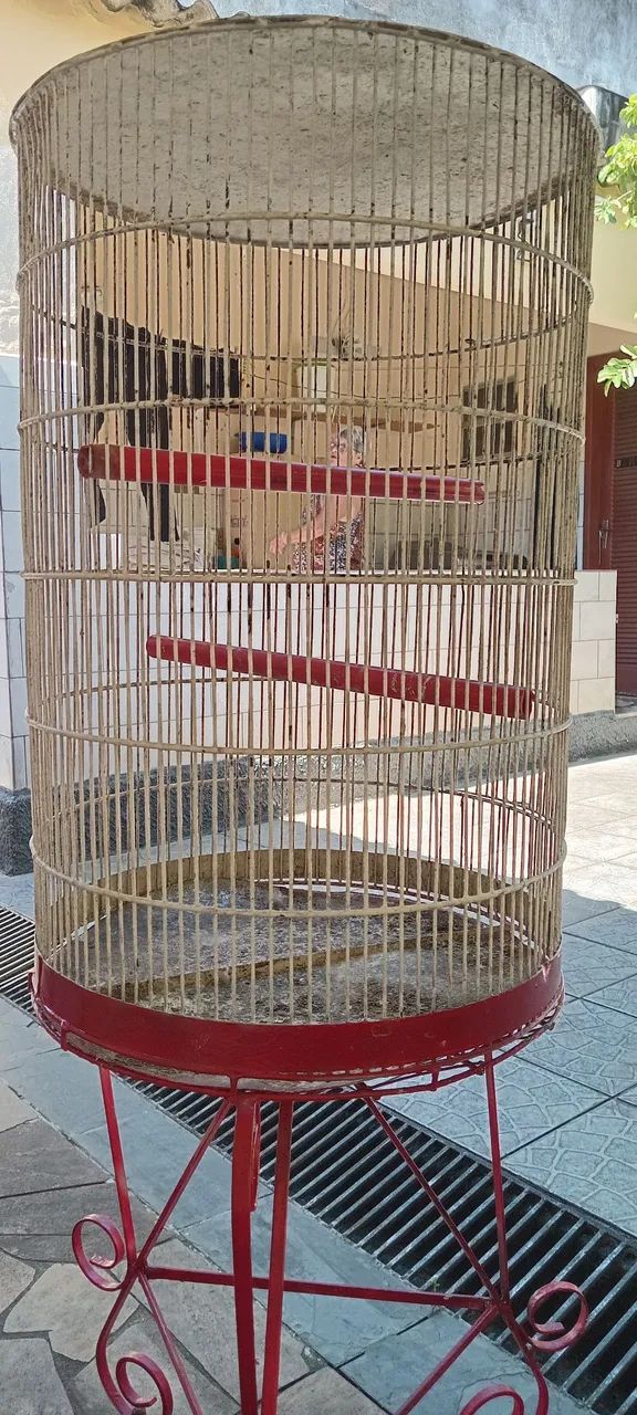 Gaiola de ferro - Foto 2