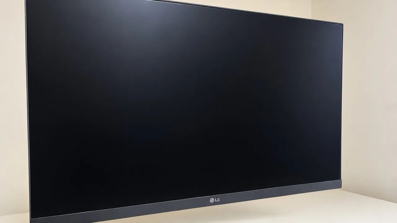 MONITOR LG 24 POLEGADAS