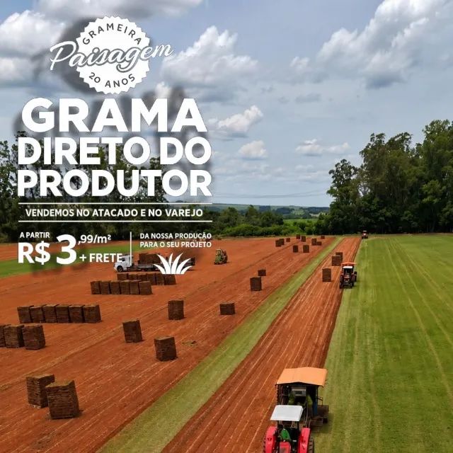 Grama Esmeralda