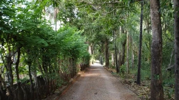 Chácara à venda no bairro Estância Vargem Bonita em Senador Canedo/GO - Foto 9