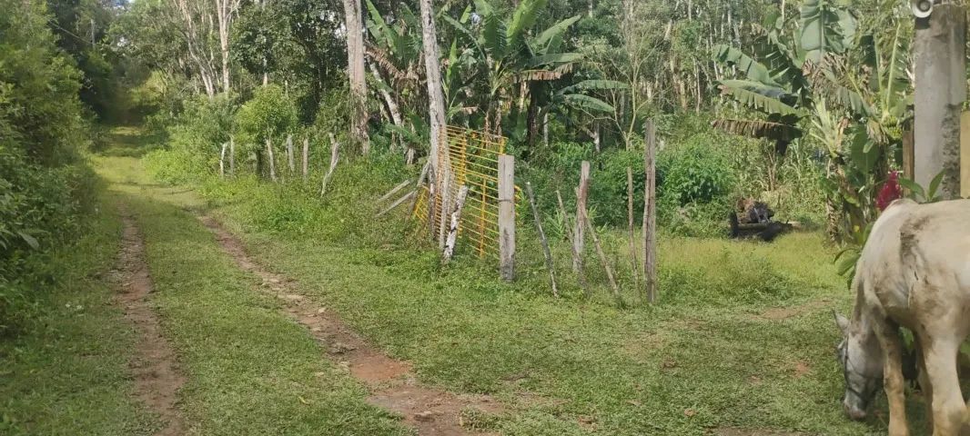Sítio a venda Ibiúna - 70 mil - Foto 2