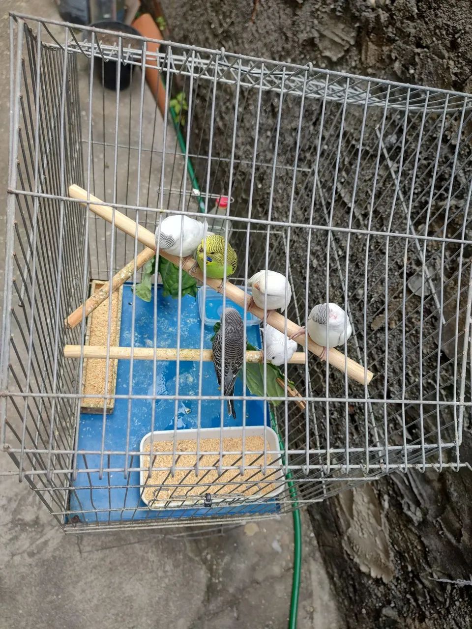 Exclusivo  - Foto 5