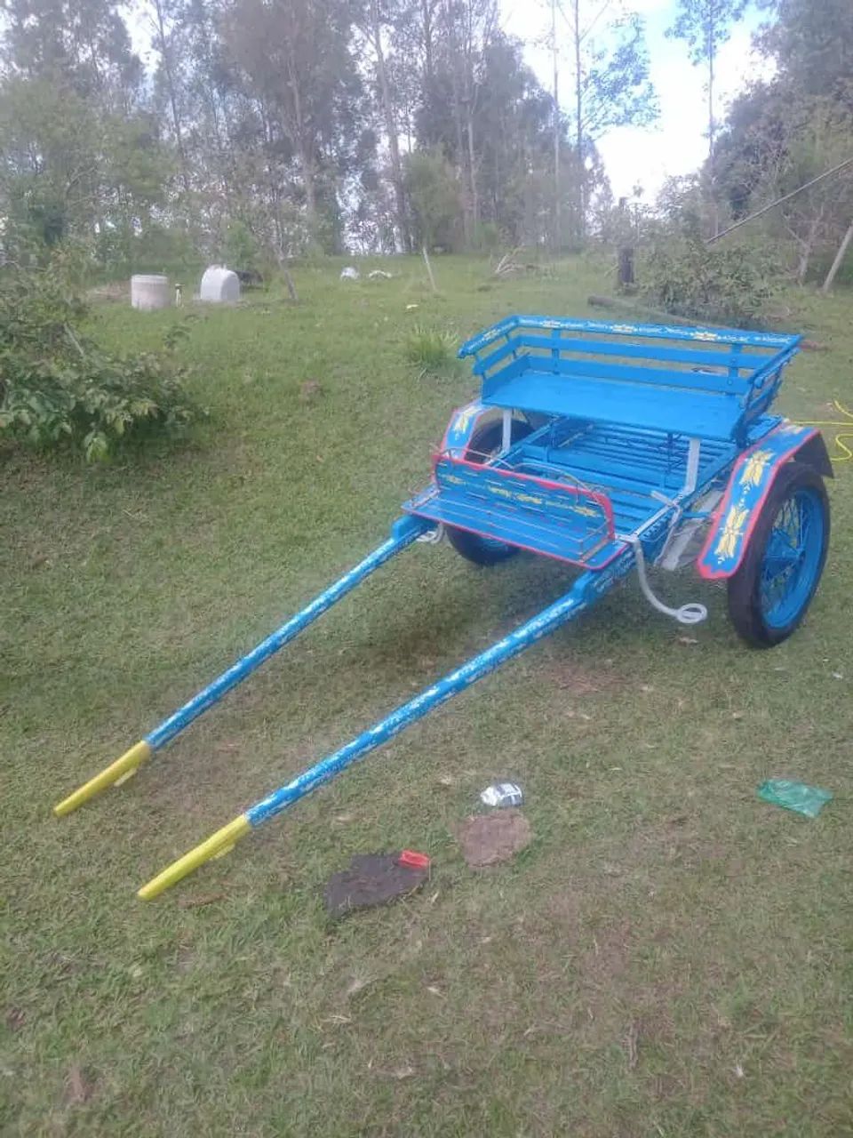 Charrete trassao animal  - Foto 3