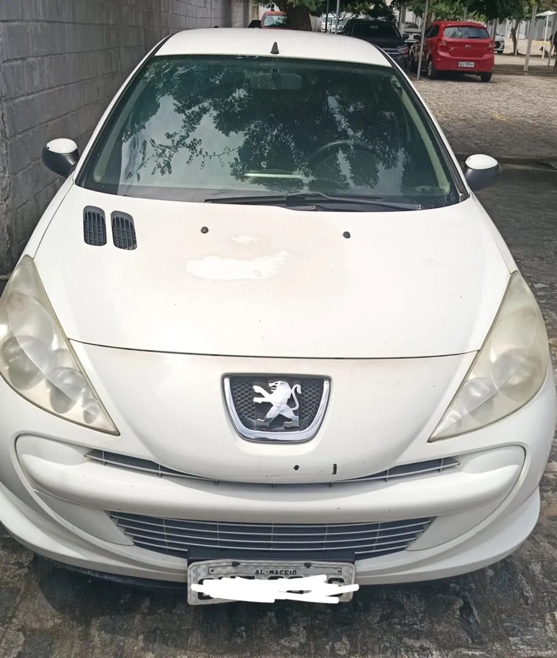 Peugeot 207 207 XR 1.4 FLEX 8V 5P 2013