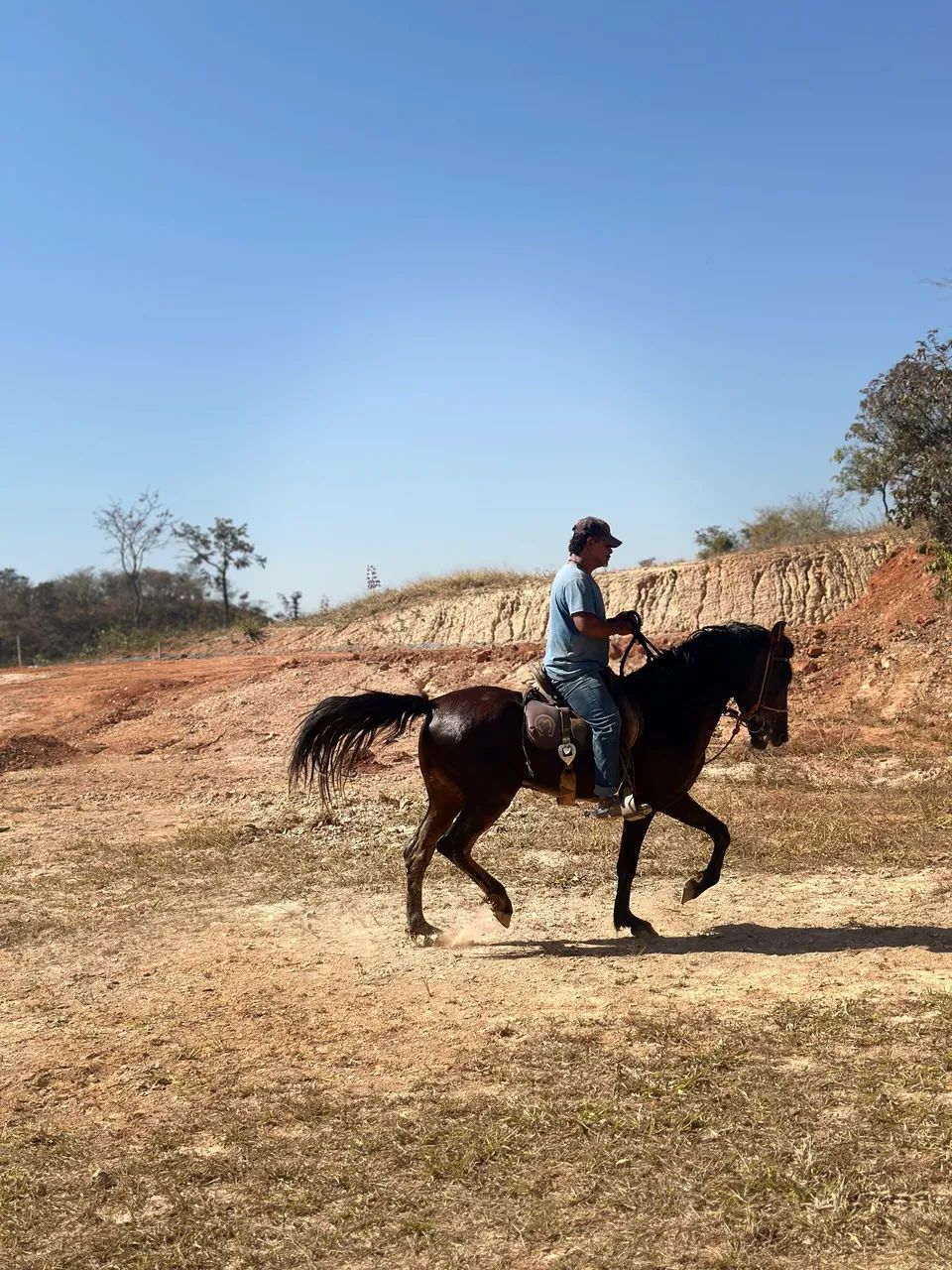 Cavalo Manga Larga Marchador - Foto 4