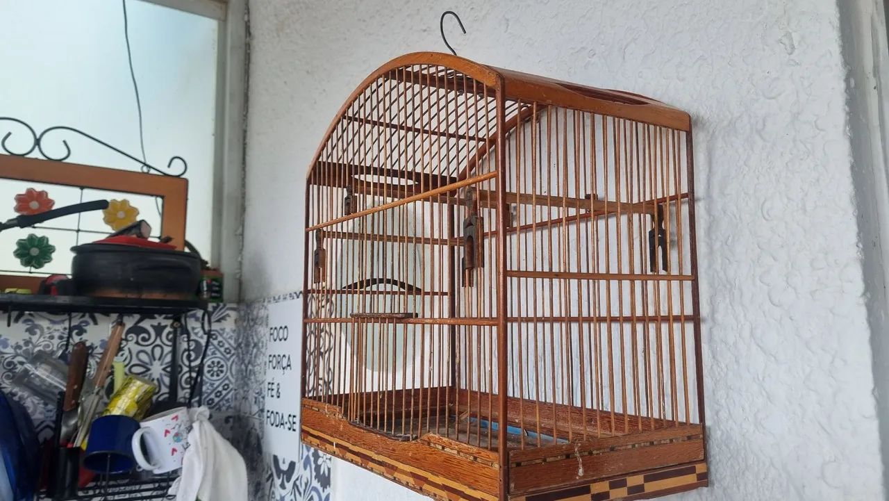 Gaiola  - Foto 2