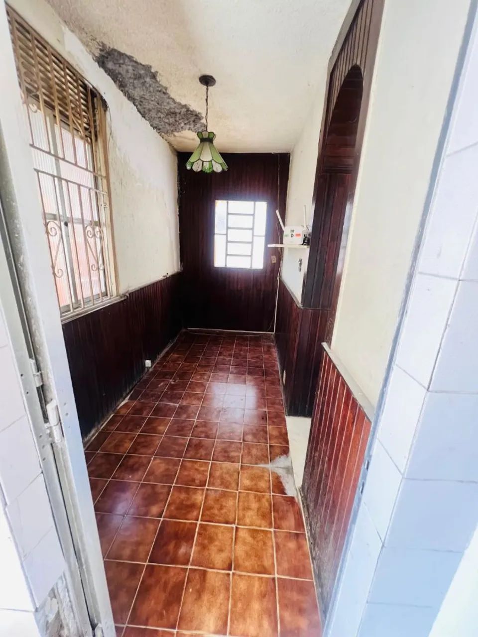 Foto - Rio de Janeiro - Jacaré