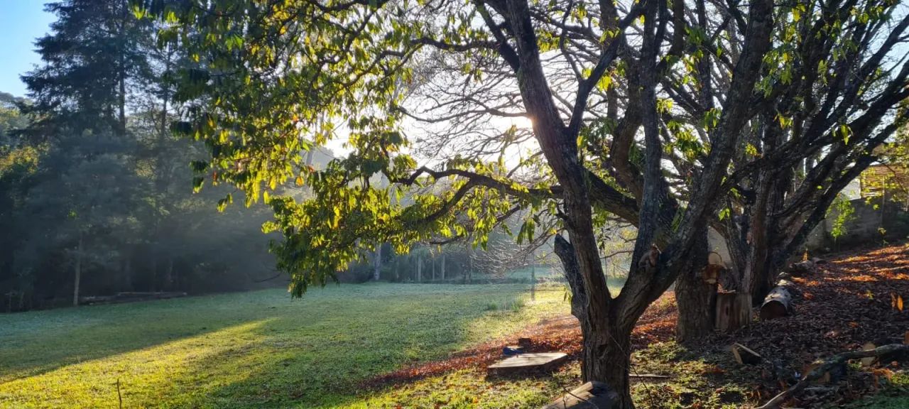 Terreno em Piraquara - PR - Foto 2