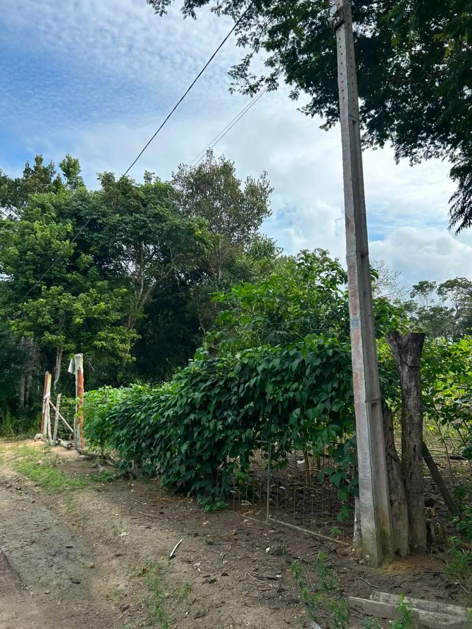 Terreno à Venda no Trac Trac  Arraial d'Ajuda/BA - Foto 2