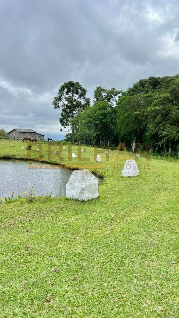 Chácara São Francisco de Paula - Foto 4