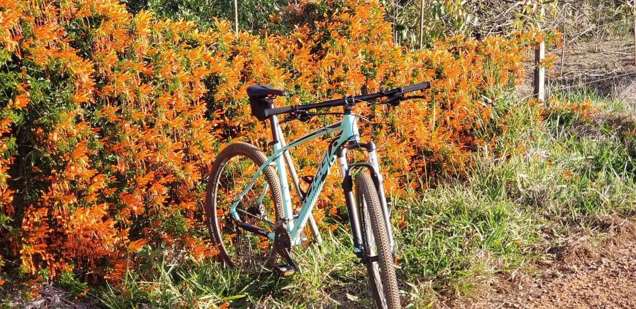 Oggi Big Wheel 7.0 2021 Cor Verde - Foto 4