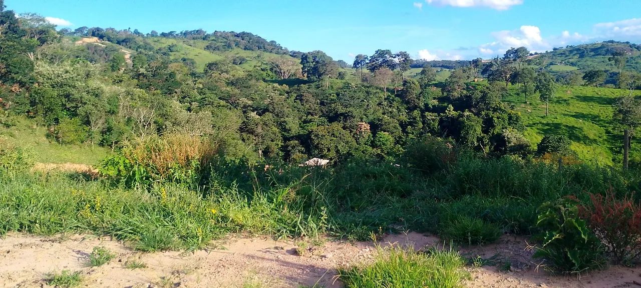 Terreno 1000 - Foto 5