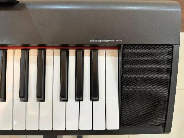yamaha piaggero np12