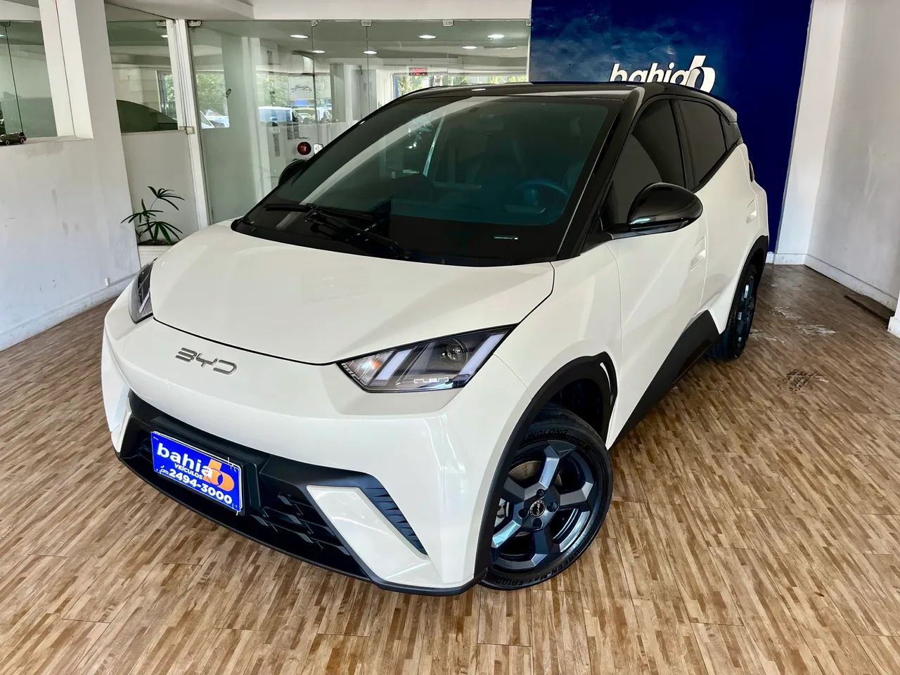 BYD Dolphin Mini (Elétrico) 2024 - Foto 3
