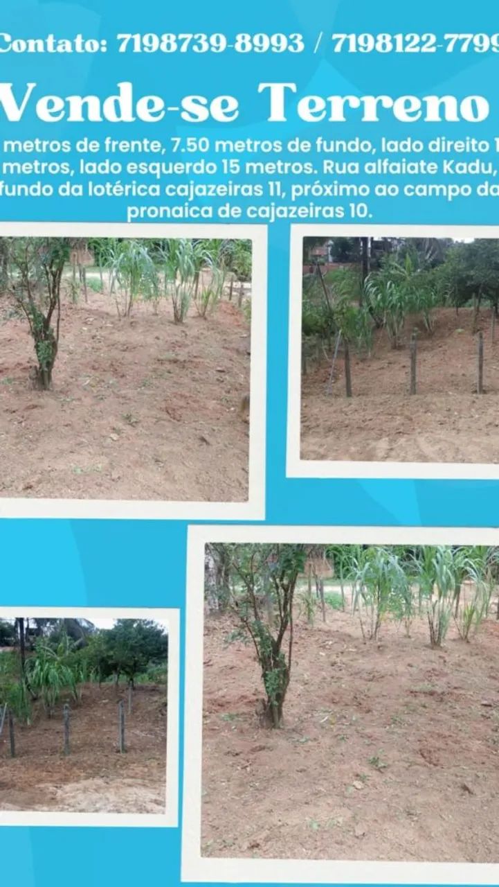 Foto - Salvador - Cajazeiras X