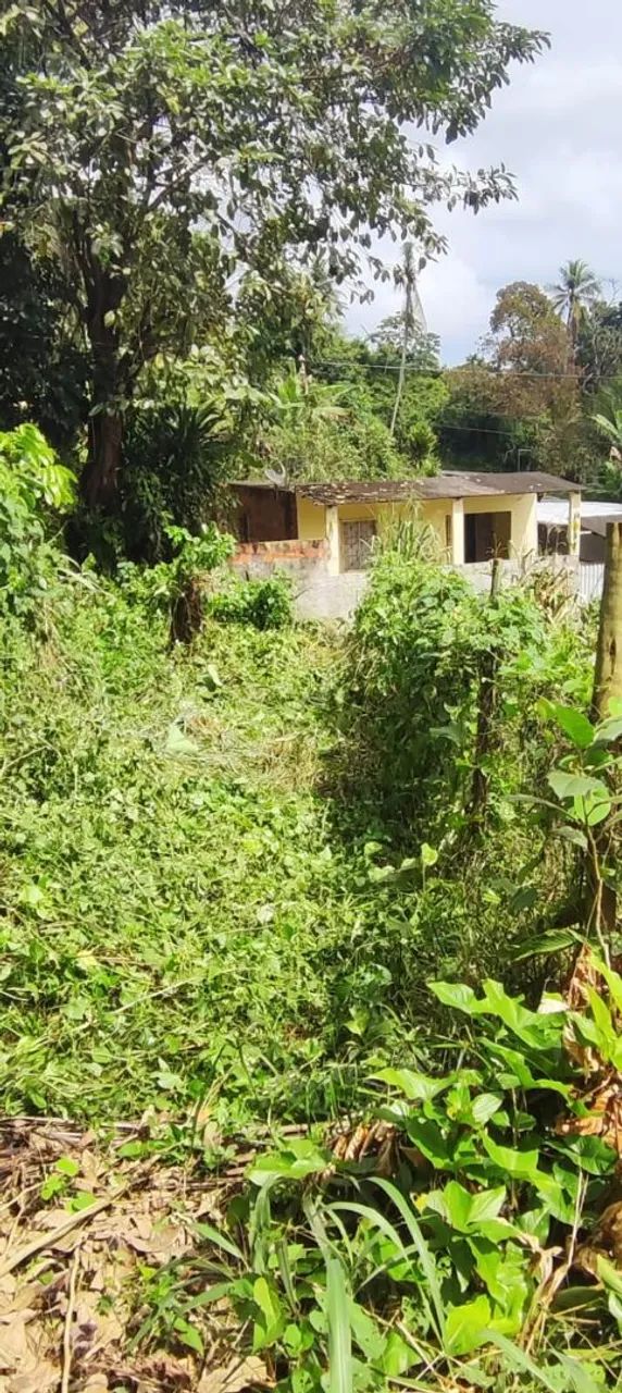 Lotes a venda ( Próximo ao derba e novo VLT ). - Foto 3