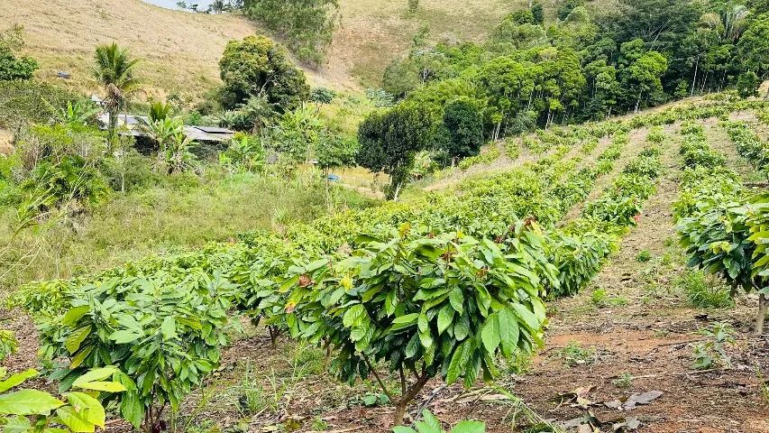 Terra Córrego Do Indaia - Foto 3