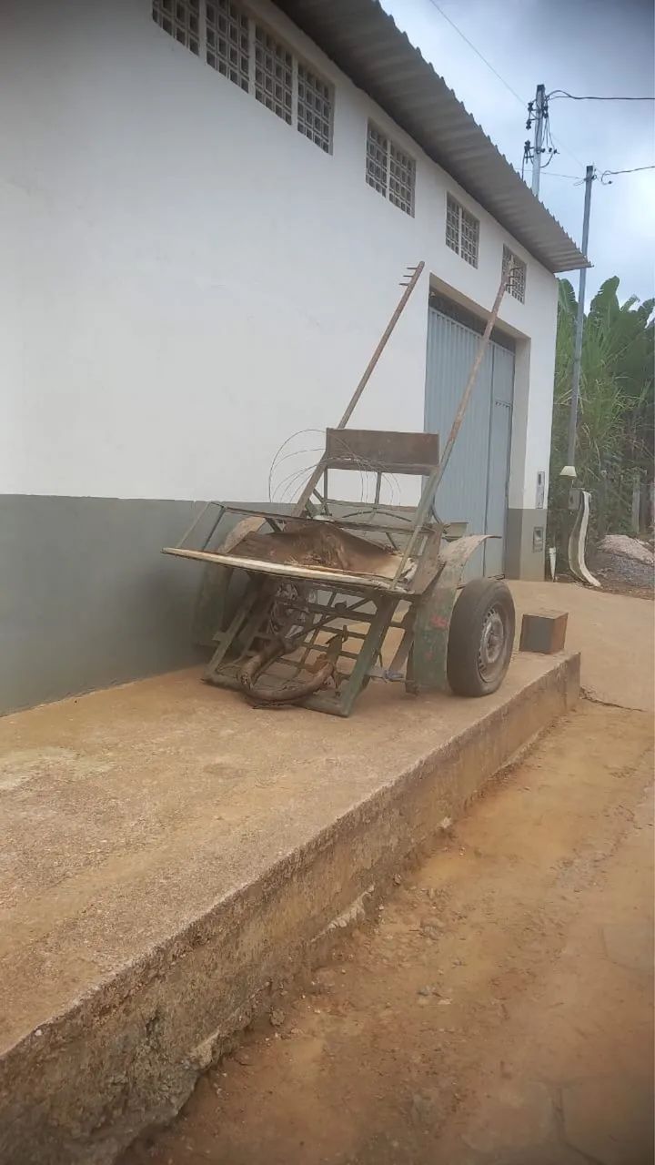 Vendo charrete 
