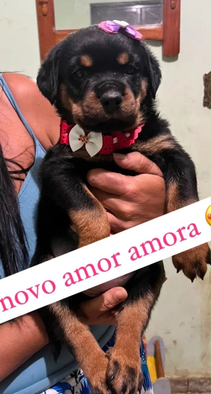 Princesa 