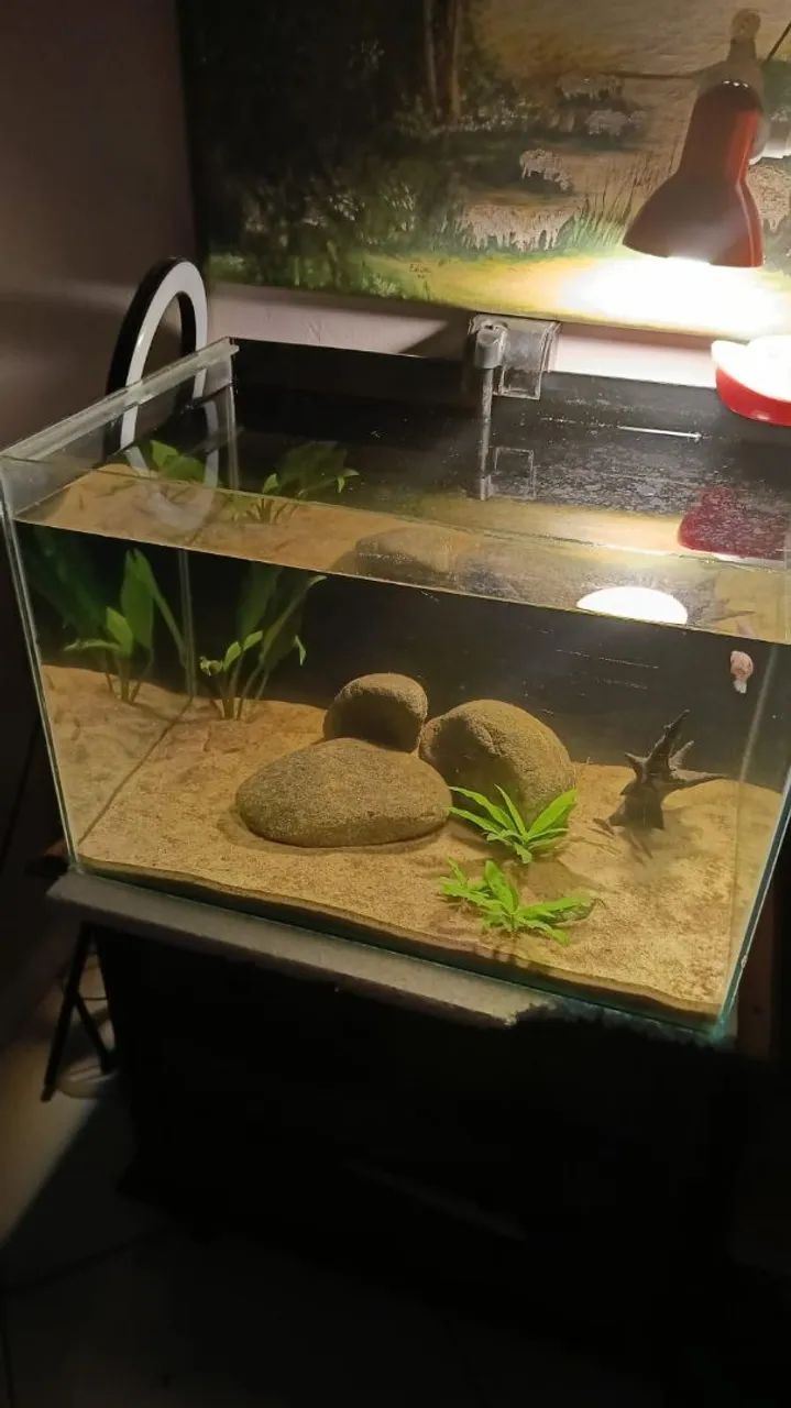 AQUARIO 60X40X40 100 LITROS  - Foto 2