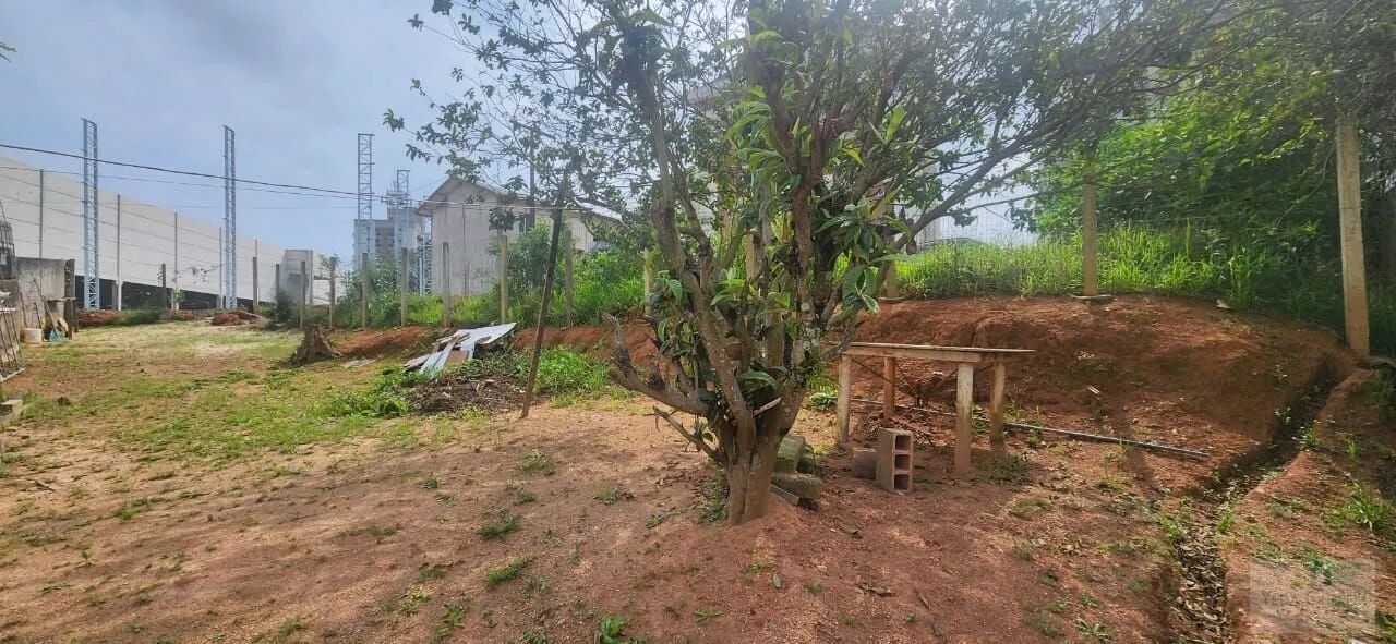 Terreno Lote - Estreito - Foto 3