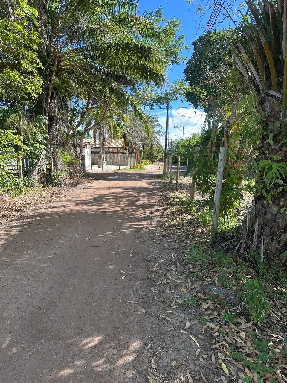 Venda de terreno - guaiu Cabrália  - Foto 4