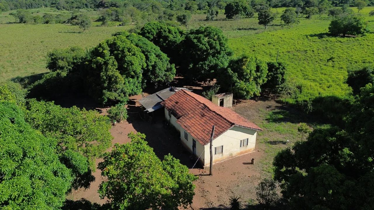 Fazenda buritis rio Pernambuco  - Foto 4