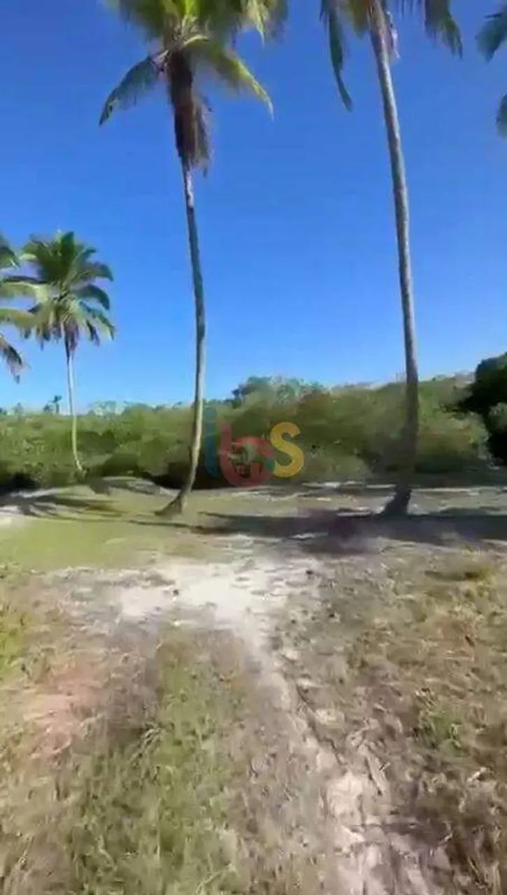 Vendo Àrea com 56 hectares em Comandatuba - Foto 4