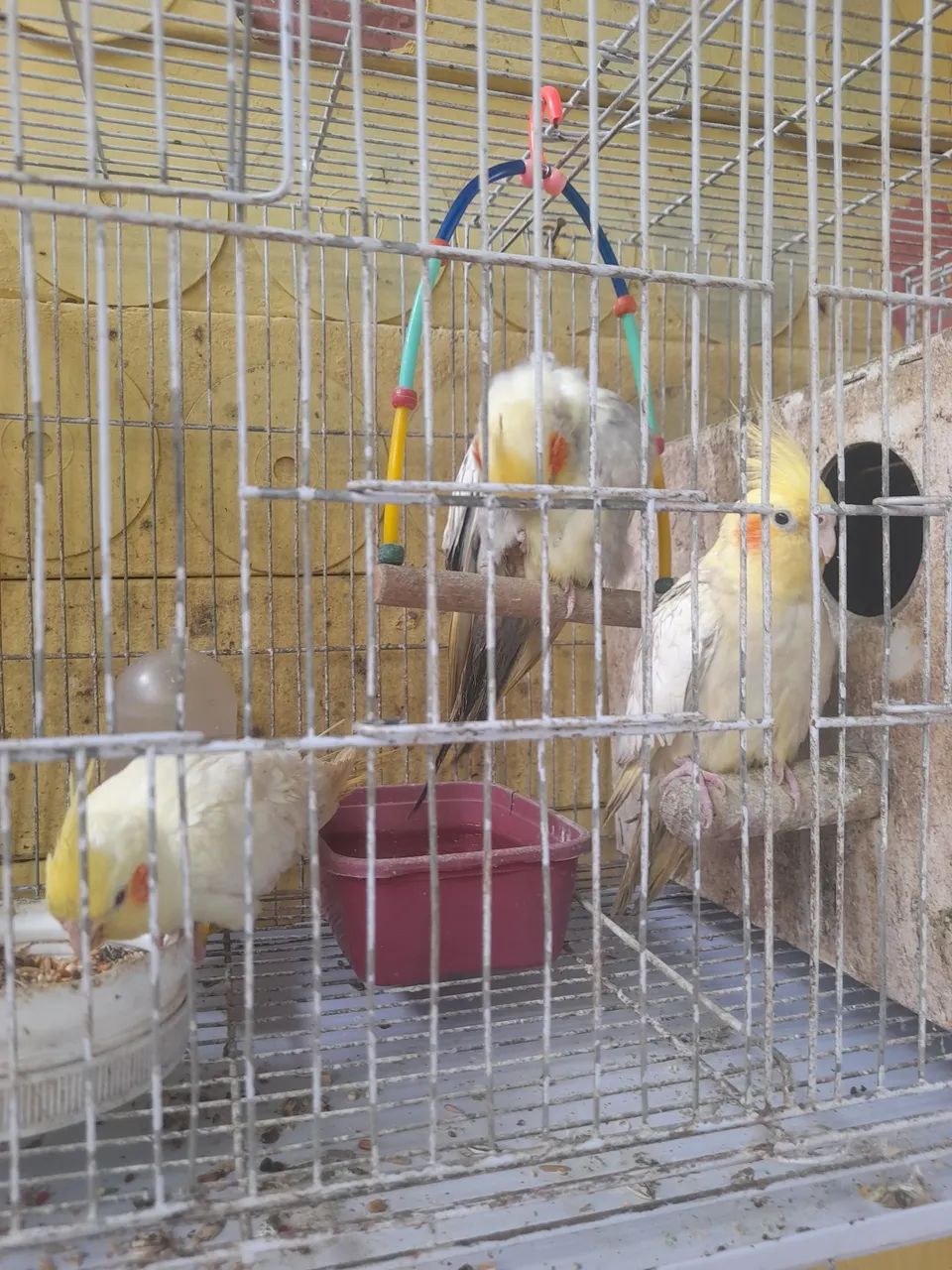 Estou vendendo 