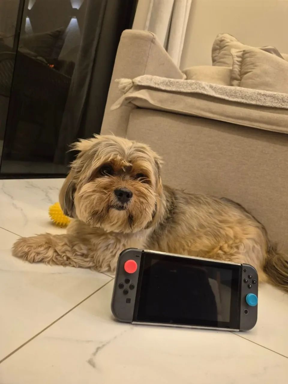 Nintendo Switch V1 Desbloqueado