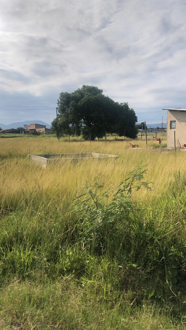 Foto - Rio de Janeiro - Campo Grande