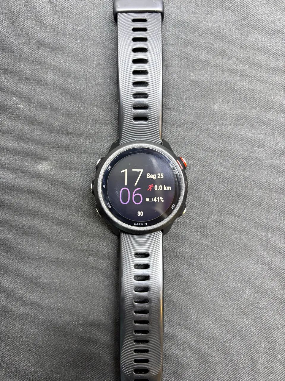 Garmin Forerunner 245 Music
