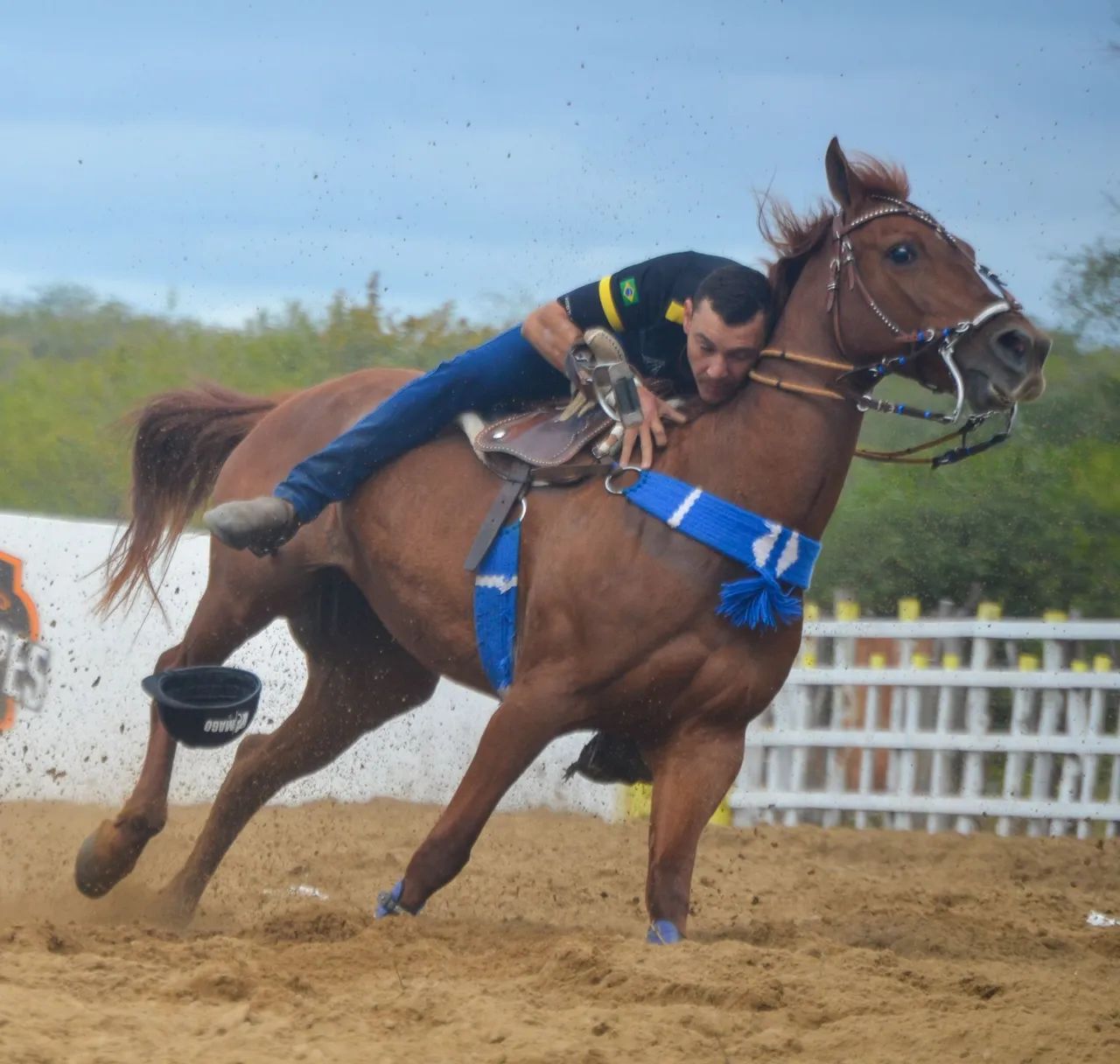 Cavalo  - Foto 3