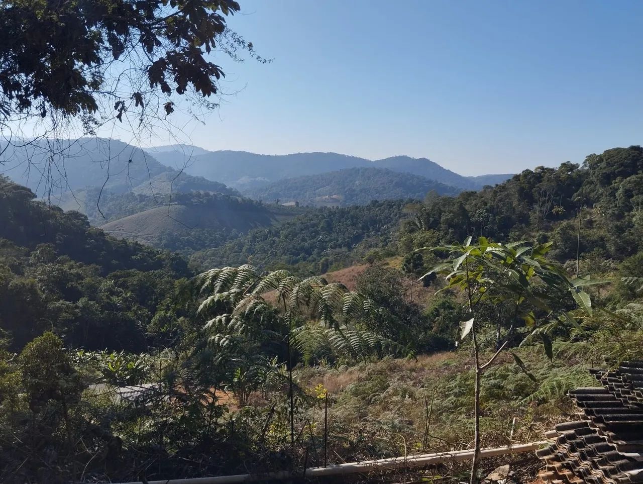 Vendo chácara em caramuru de baixo  - Foto 5