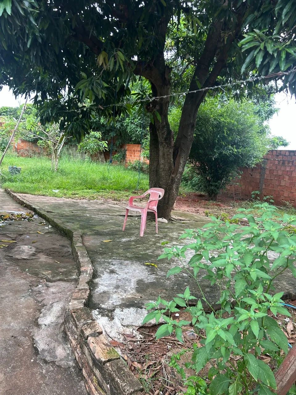 Foto - Araçatuba - Jardim América