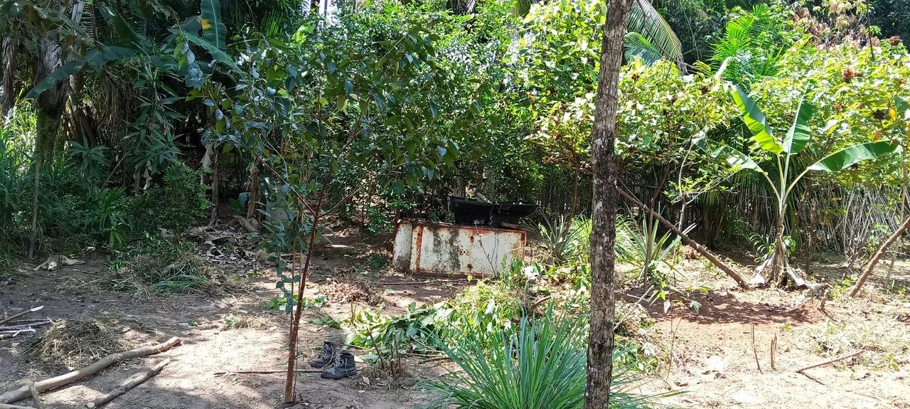 Vendo esse terreno 