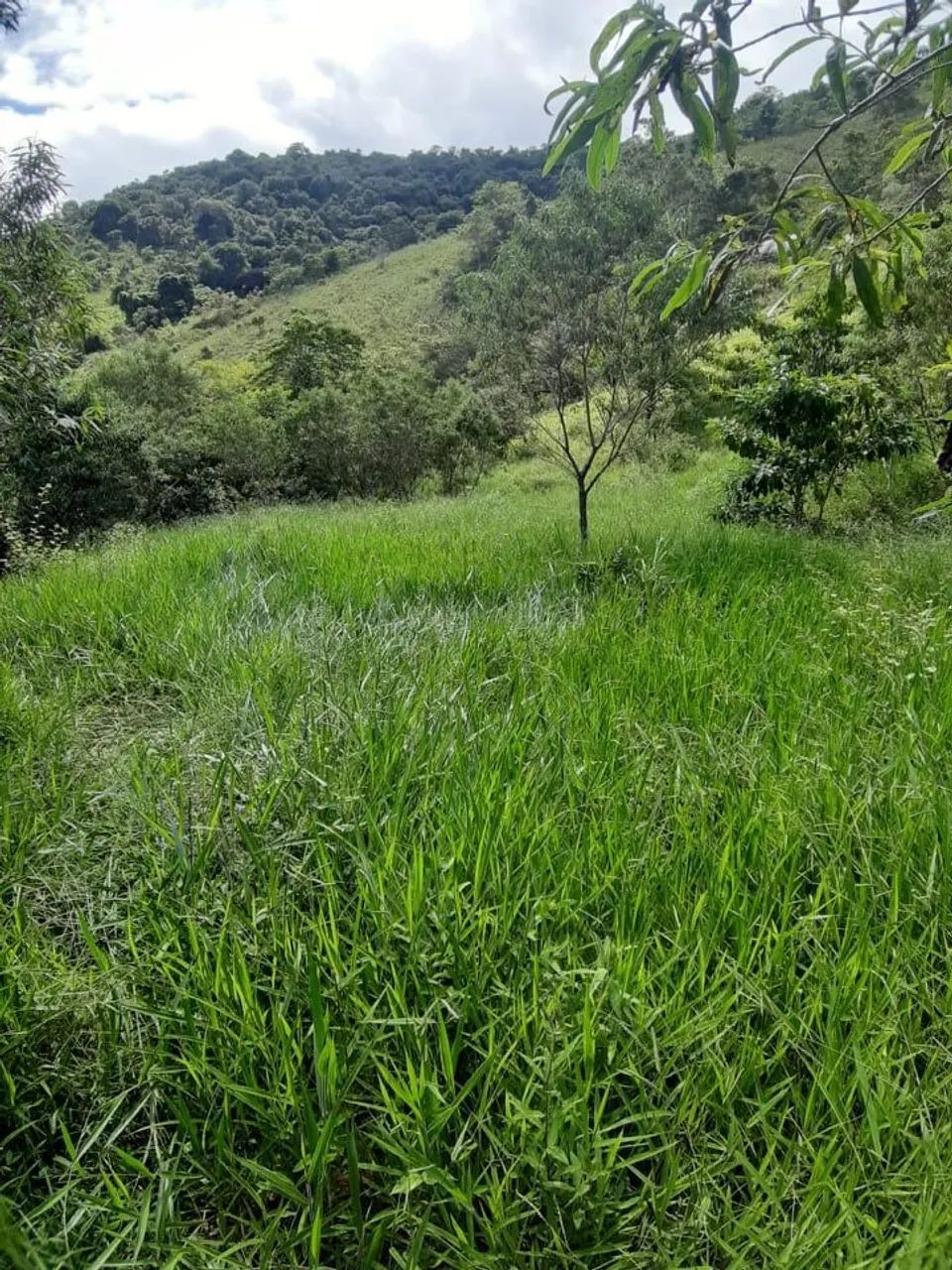 Foto - Águas Formosas - 