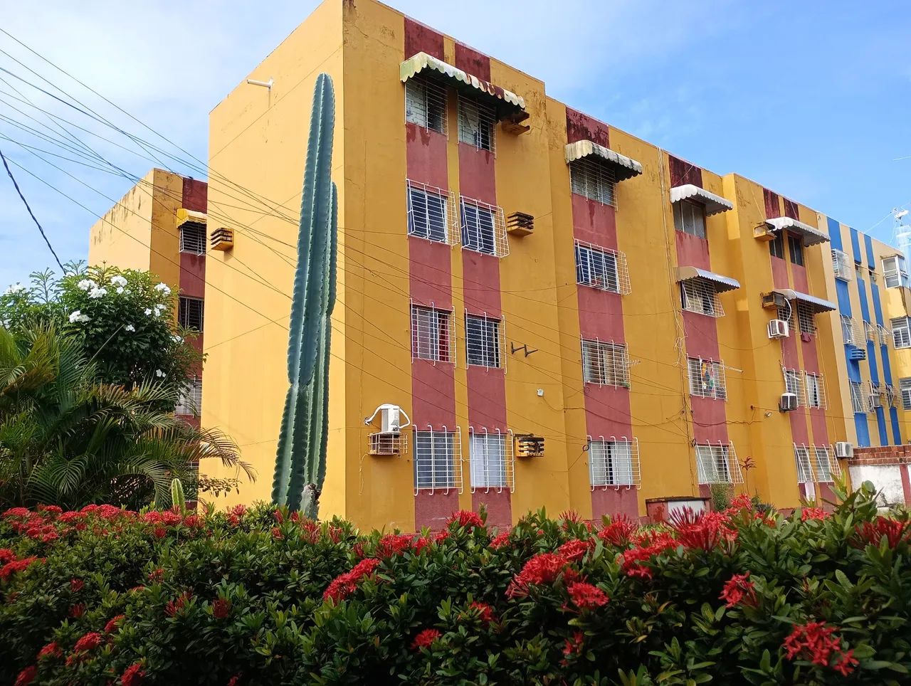 Apt em barra de jangada