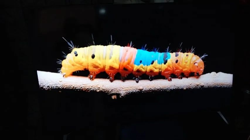 Tv Smart 55 4k Lg Alexa Comando de Voz Inteligencia Artificial - Foto 3